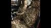 Wet Okole Seat Covers Chevy Silverado W Jump Seat